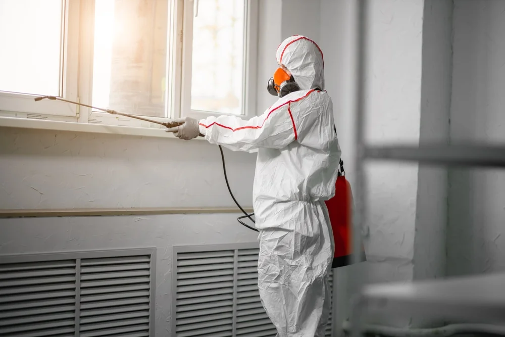 Professional mold remediation services in Sicklerville, NJ